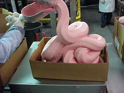 Mechanically Separated Chicken: The Shocking Truth