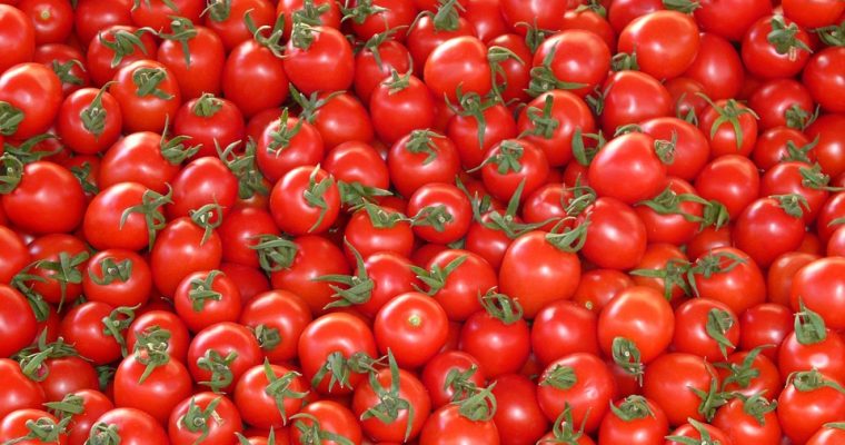 Tomato Nutrition Facts: Health Benefits and How Good for you is it?
