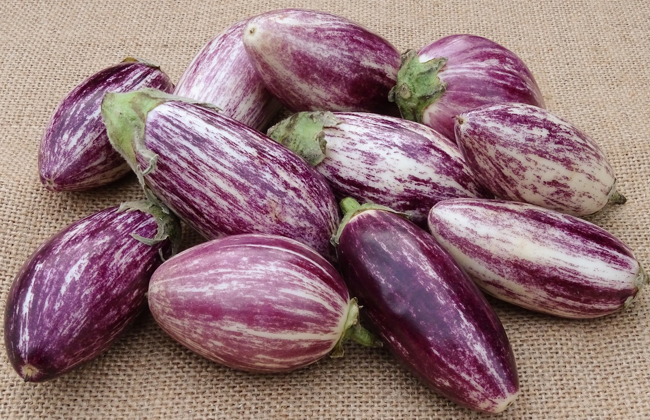 Greek Eggplant Dip